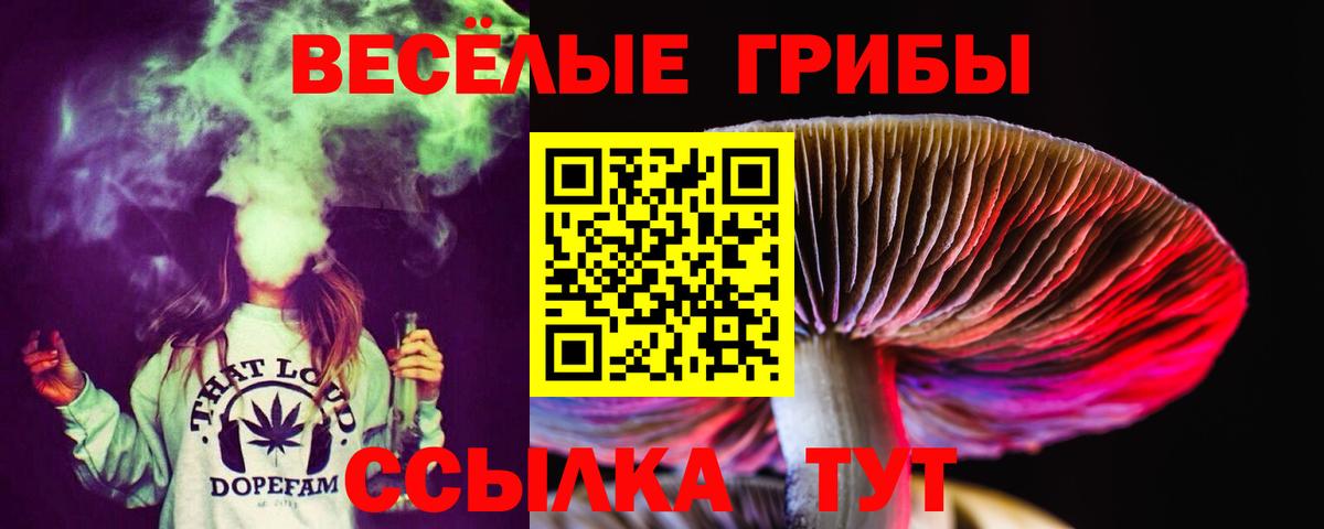 Кимры  Галлюциногенные грибы Psilocybine cubensis  закладка  Вход с VPN 
